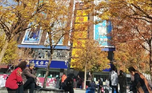 太原服裝城老年活動中心秋色宜人，放眼望去一片金黃 新聞資訊 第2張